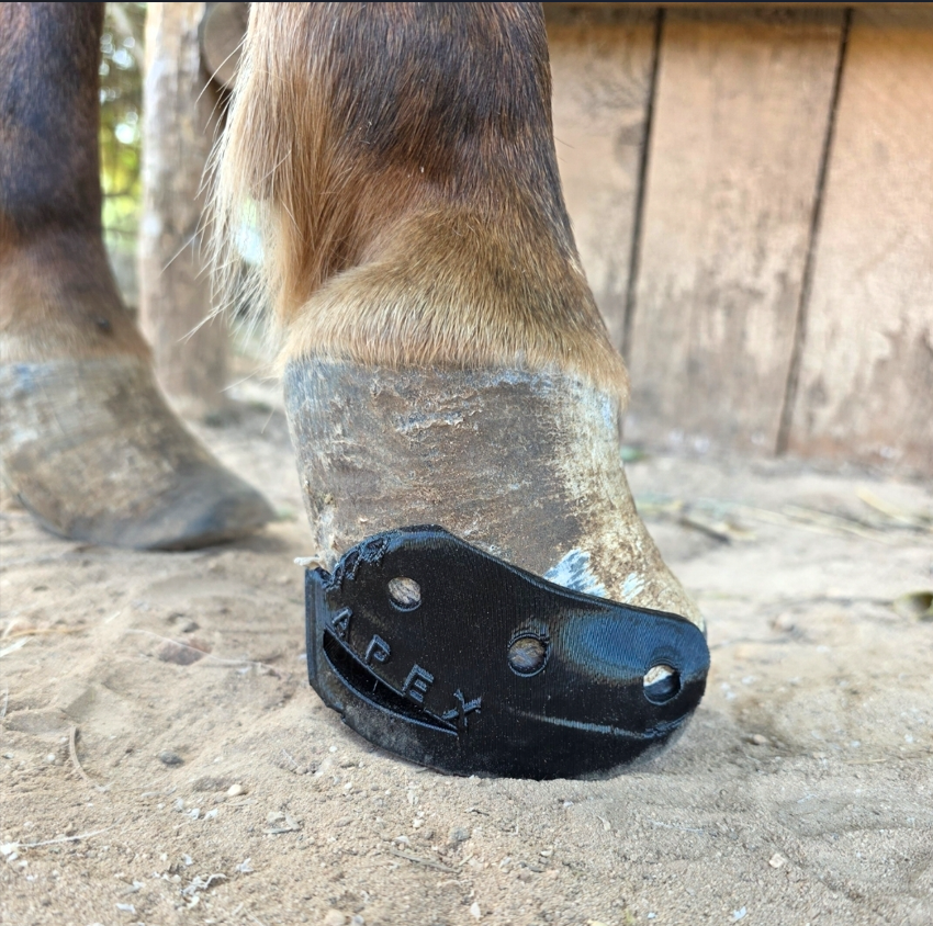 Herradura Apex impresa en 3D colocada sobre el casco de un caballo